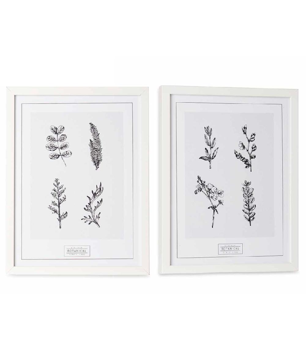 Wadiga Set De 2 Tableaux Décoratifs Noir Et Blanc Botanique