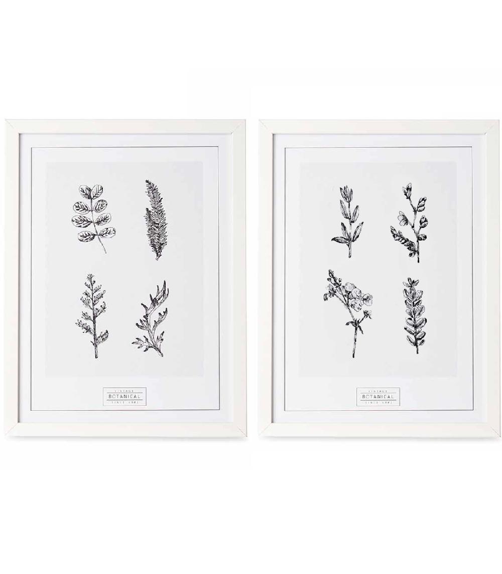 wadiga Set de 2 tableaux décoratifs noir et blanc botanique
