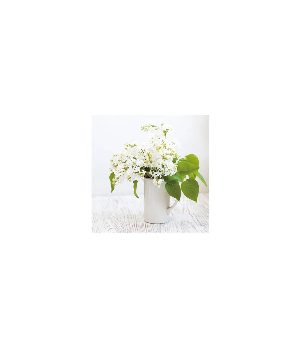Wadiga Set De 2 Tableaux Décoratifs Photo Bouquets De Fleurs - 50x50cm