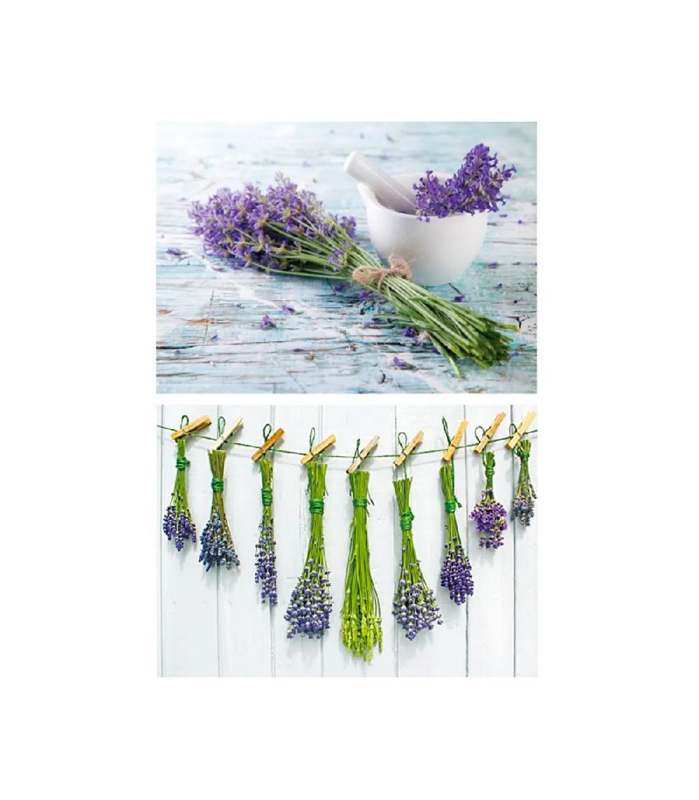 wadiga Set de 2 tableaux décoratifs photo lavande - 70x2.5x50cm