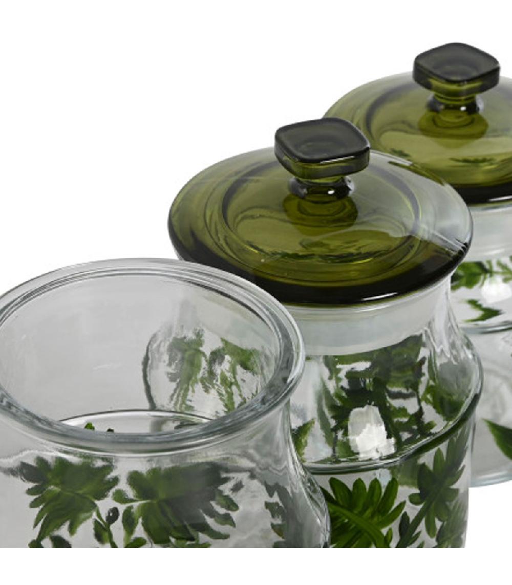 Wadiga Set De 3 Pots En Verre Botanique 12x12x23.5cm