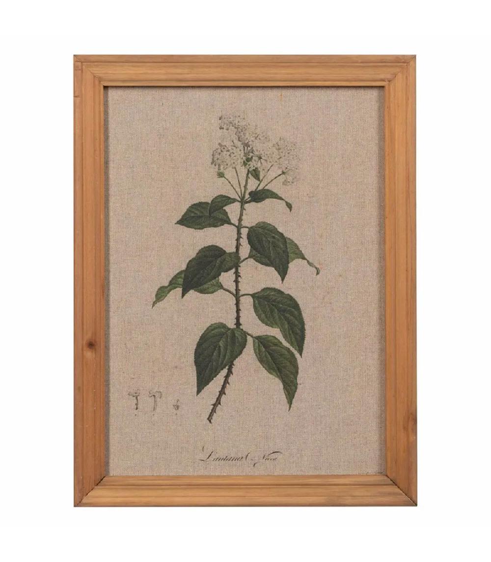 Wadiga Set De 4 Tableaux Bois Et Toile Impression Botanique 33x1.8x43cm