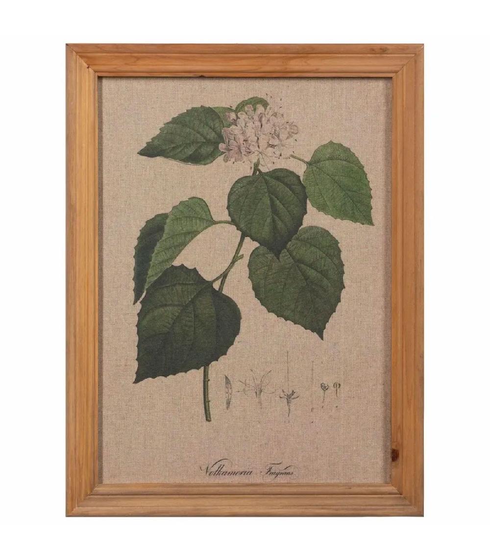 Wadiga Set De 4 Tableaux Bois Et Toile Impression Botanique 33x1.8x43cm