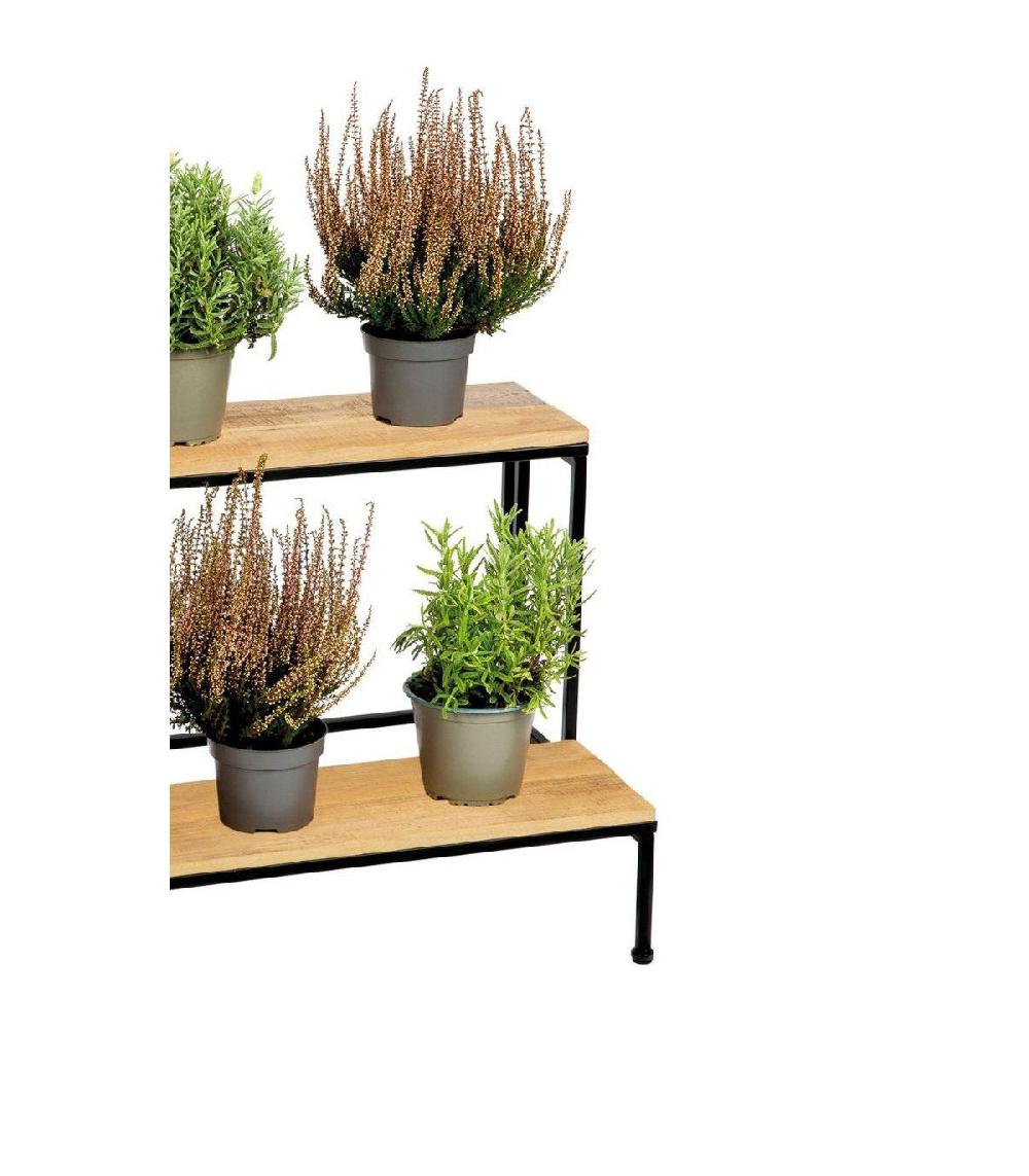 Wadiga Support Pots Plantes étagé En Métal Noir Et Bois - 75x40x49cm