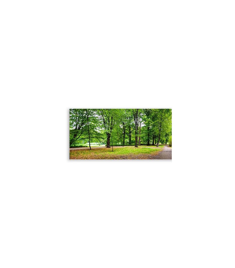 Wadiga Tableau Décoratif Photo Panoramique Forêt - 180x60cm
