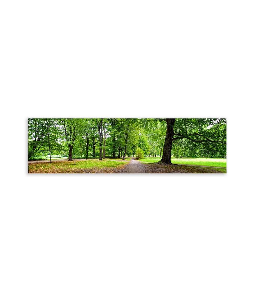 wadiga Tableau Décoratif Photo Panoramique Forêt - 180x60cm