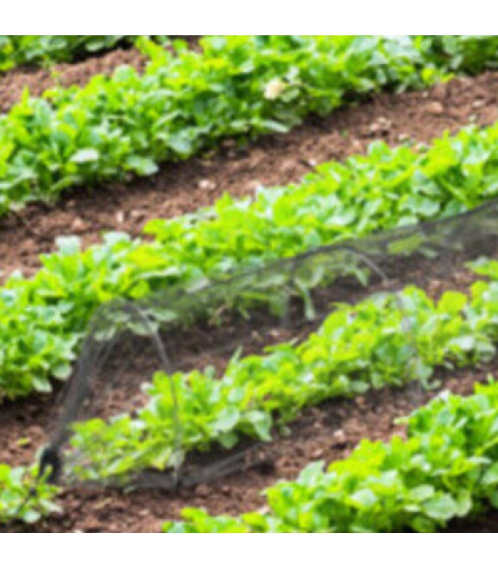 Wadiga Tunnel De Potager Filet Anti-insestes Pliable 300x45x45cm