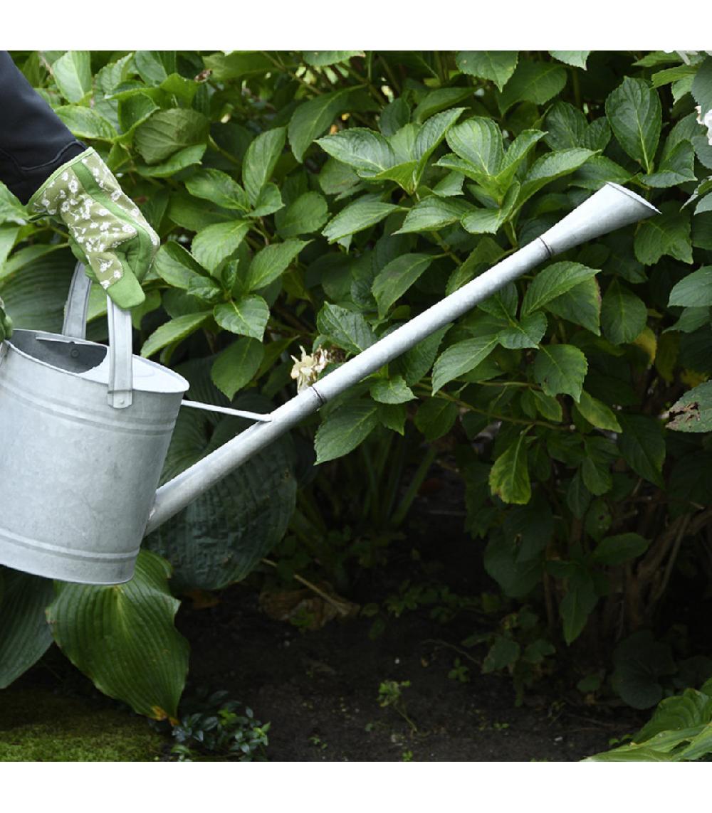 Wadiga Arrosoir En Zinc Bec Extra Long Amovible - 6L