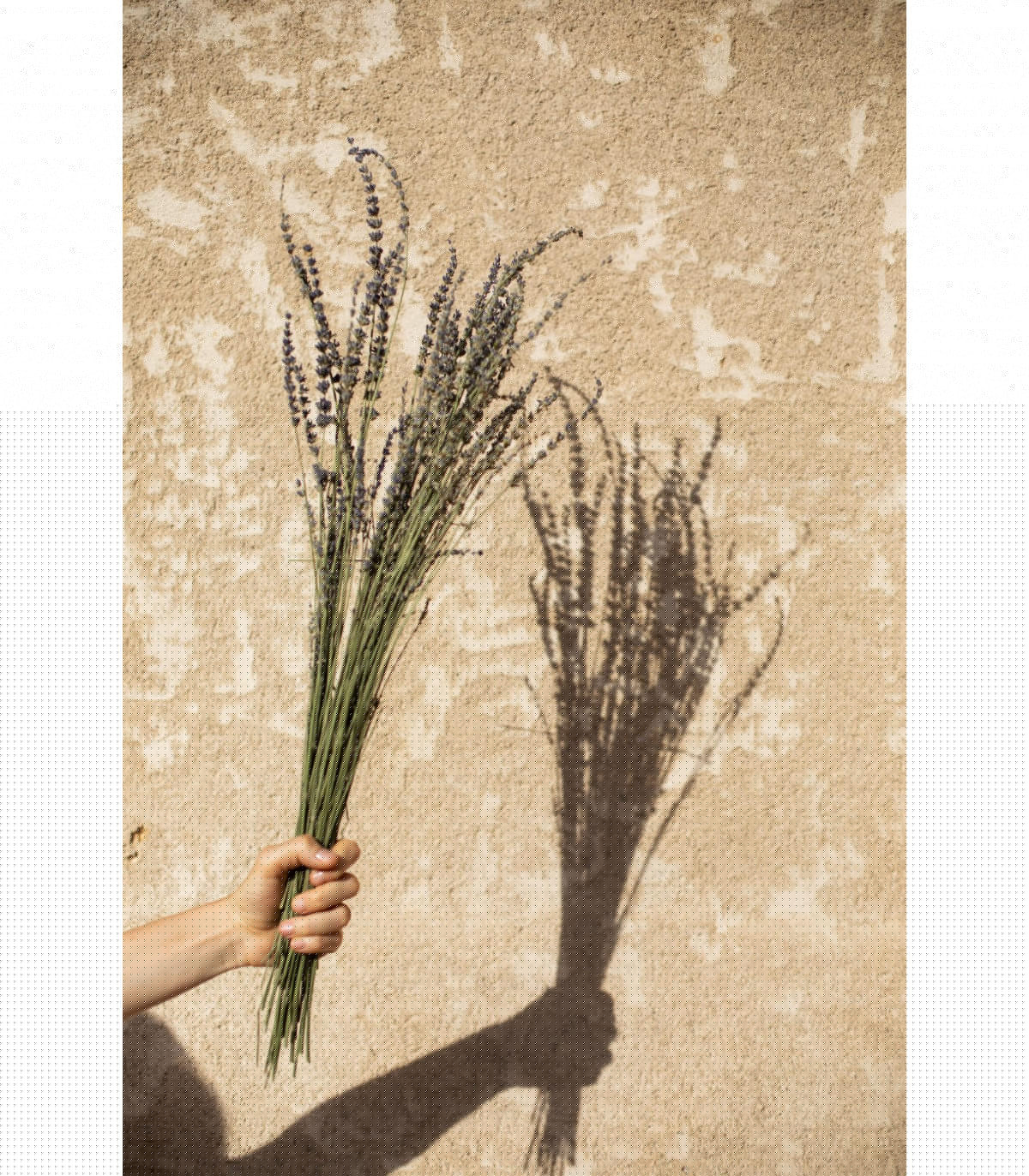 Wadiga Bouquet De Fleurs Séchées - Lavandes