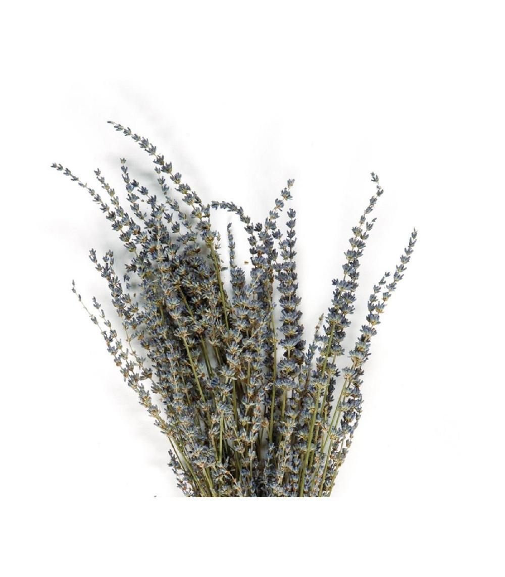 Wadiga Bouquet De Fleurs Séchées - Lavandes