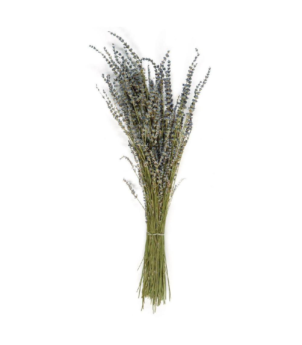 wadiga Bouquet de Fleurs Séchées - Lavandes