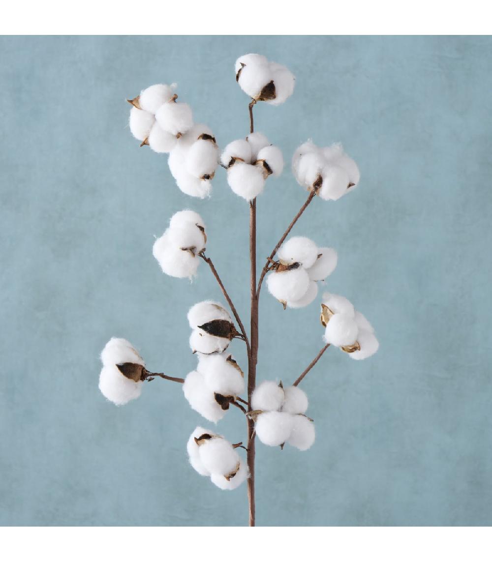 Wadiga Branche De Coton Naturelle Décorative - 68cm