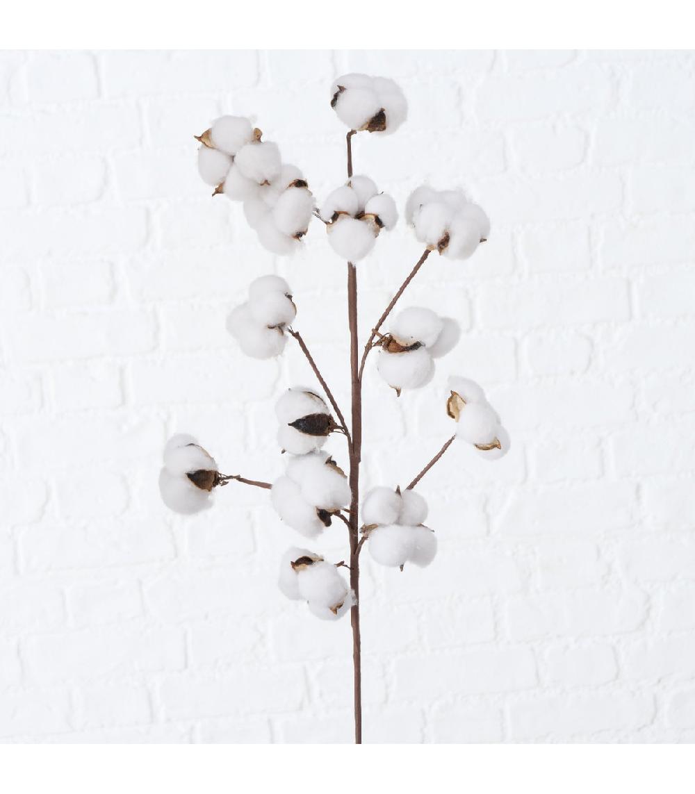 Wadiga Branche De Coton Naturelle Décorative - 68cm