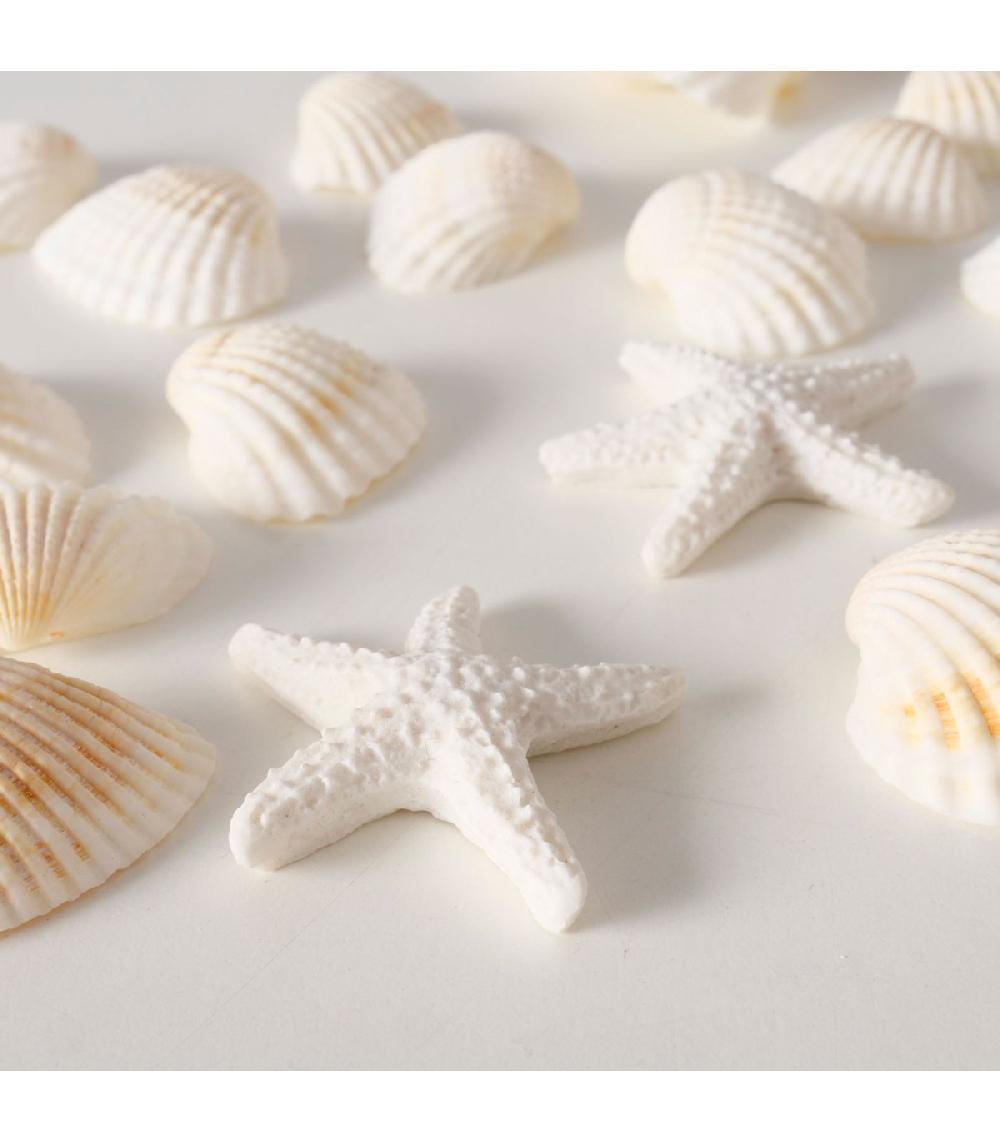 Wadiga Coquillages Décoratifs Blancs 100g