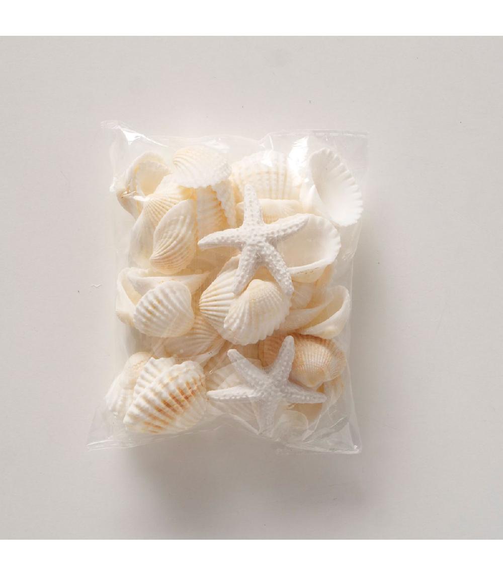 Wadiga Coquillages Décoratifs Blancs 100g