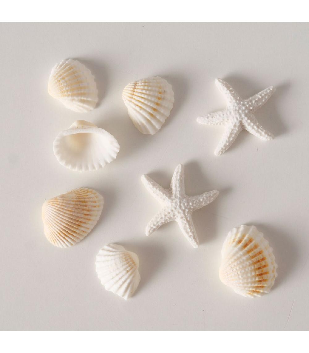 Wadiga Coquillages Décoratifs Blancs 100g