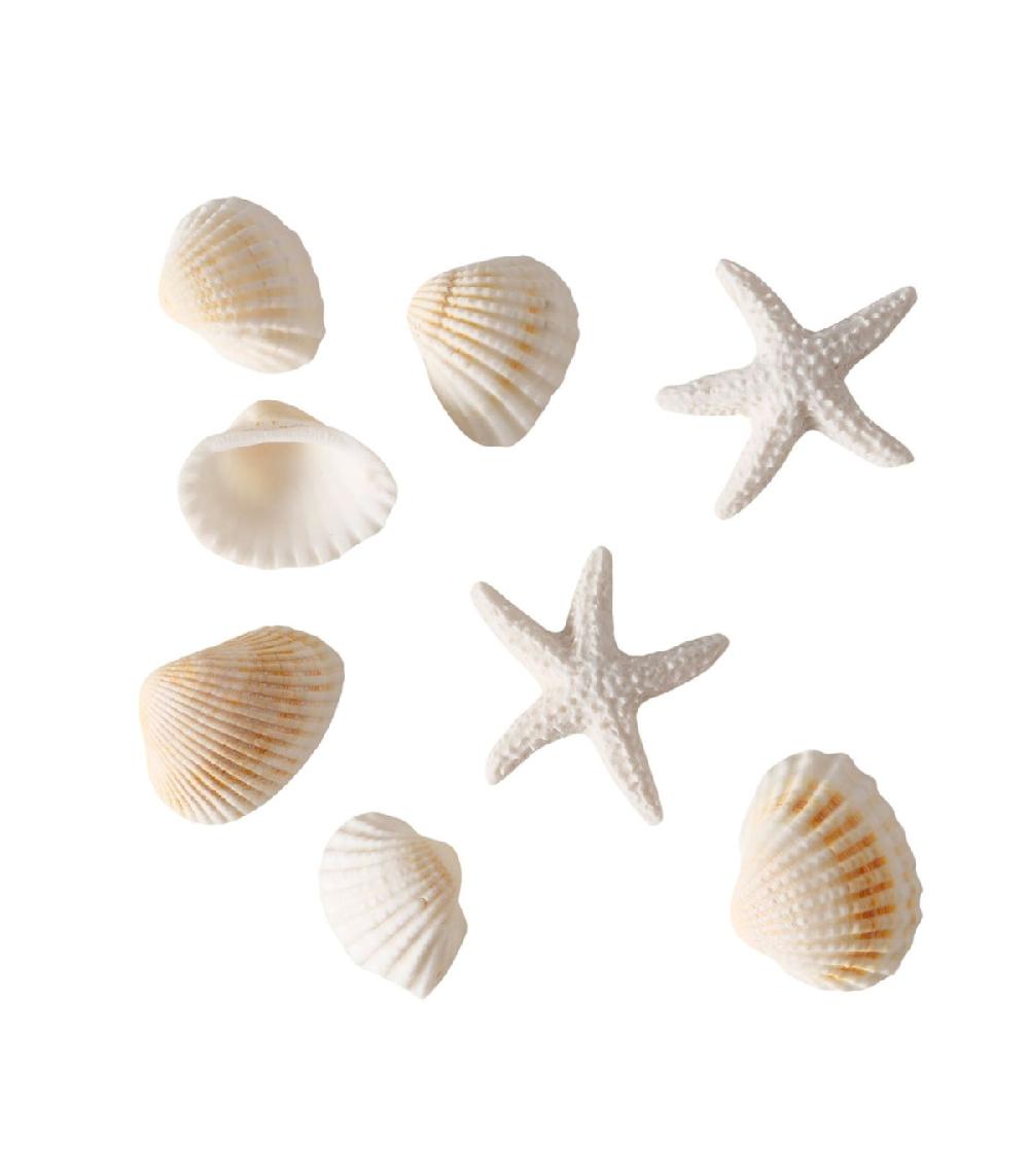 wadiga Coquillages décoratifs blancs 100g