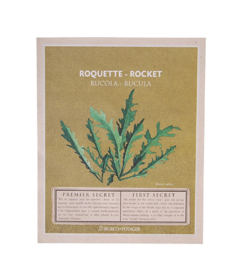 wadiga Graines à Semer - Roquette