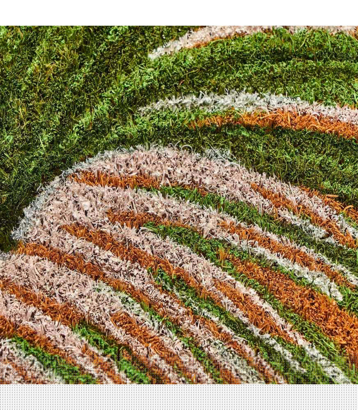 Wadiga Paillasson Coco Feuillage Hello 60x40x1.5cm