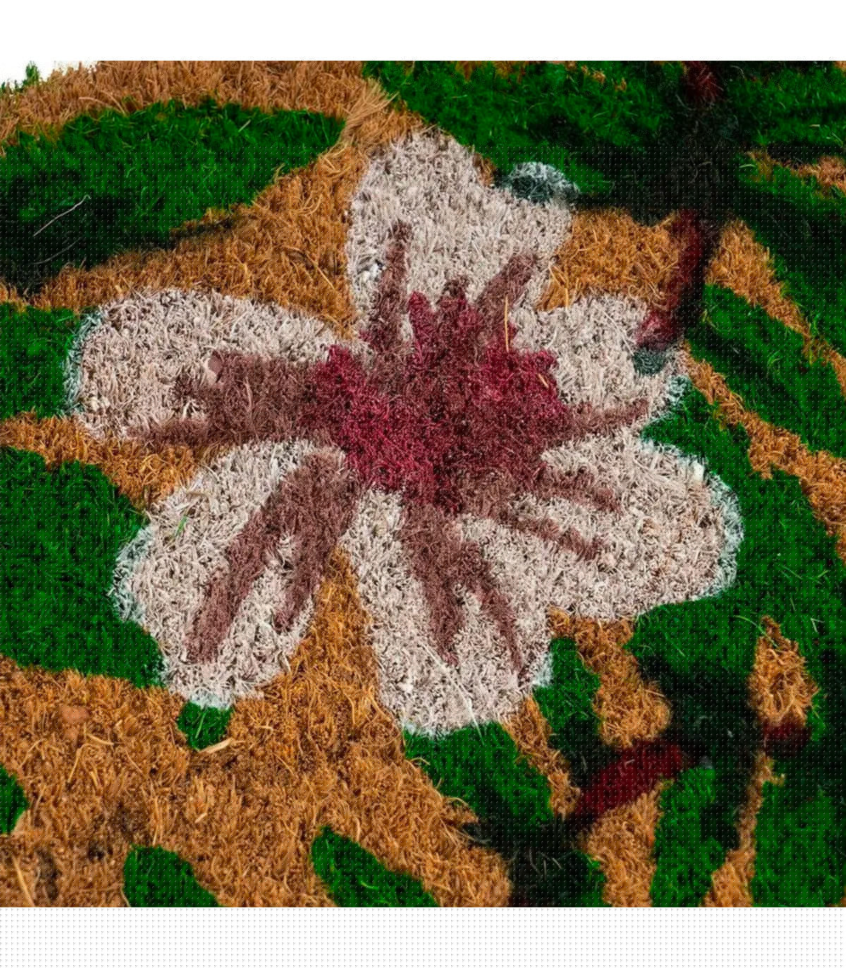 Wadiga Paillasson Coco Fleuri 60x40x1.5cm