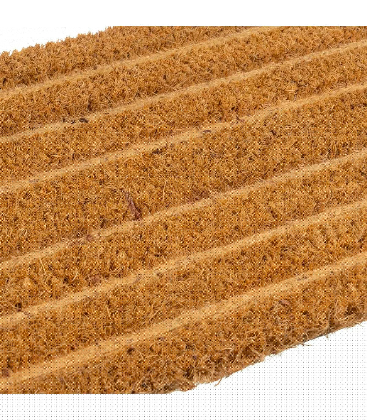 Wadiga Paillasson Coco Long étroit 75x25x1.5cm