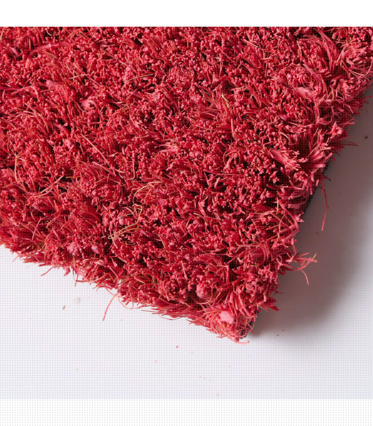 Wadiga Paillasson Coco Rouge Love 60x40x1.5cm