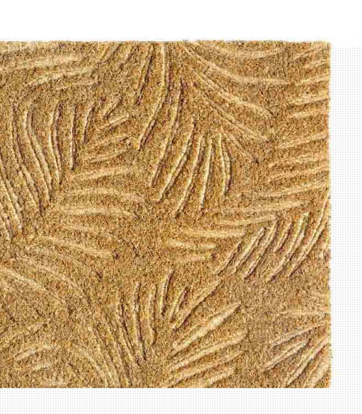 Wadiga Paillasson Coco Tropical 40x60cm