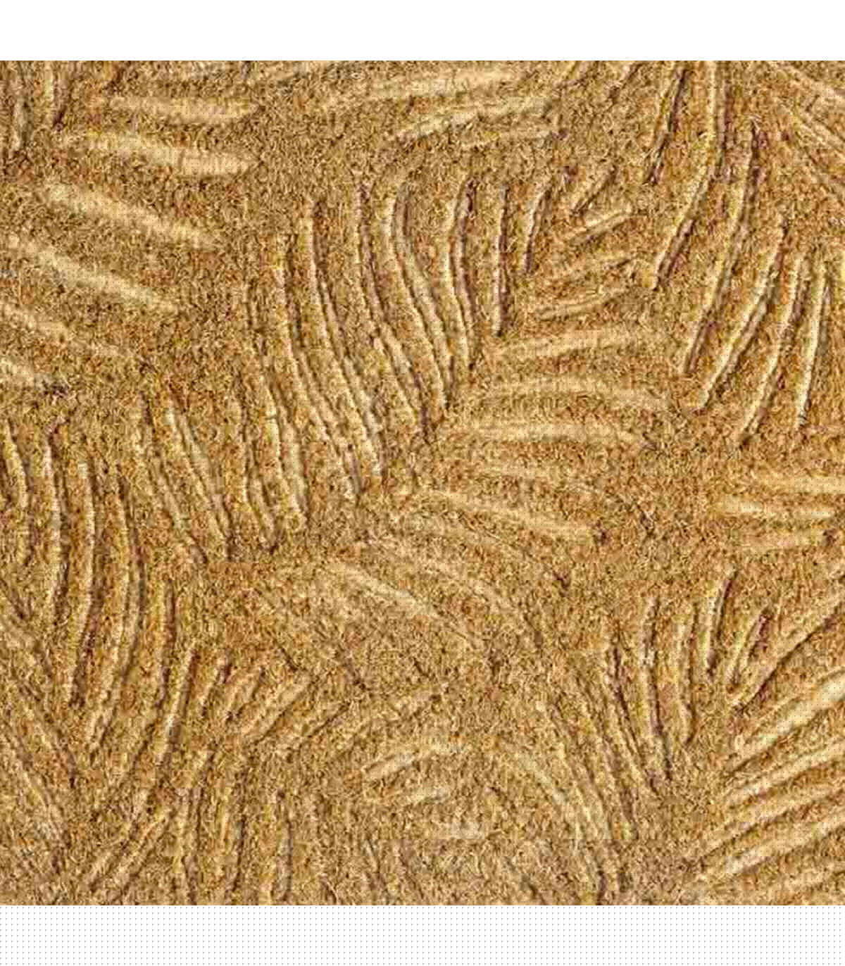 Wadiga Paillasson Coco Tropical 40x60cm