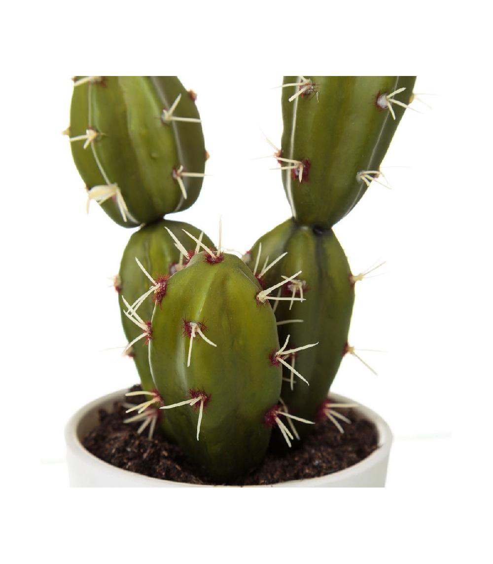 Wadiga Set De 4 Cactus Artificiels Vert - 9x9x18xm