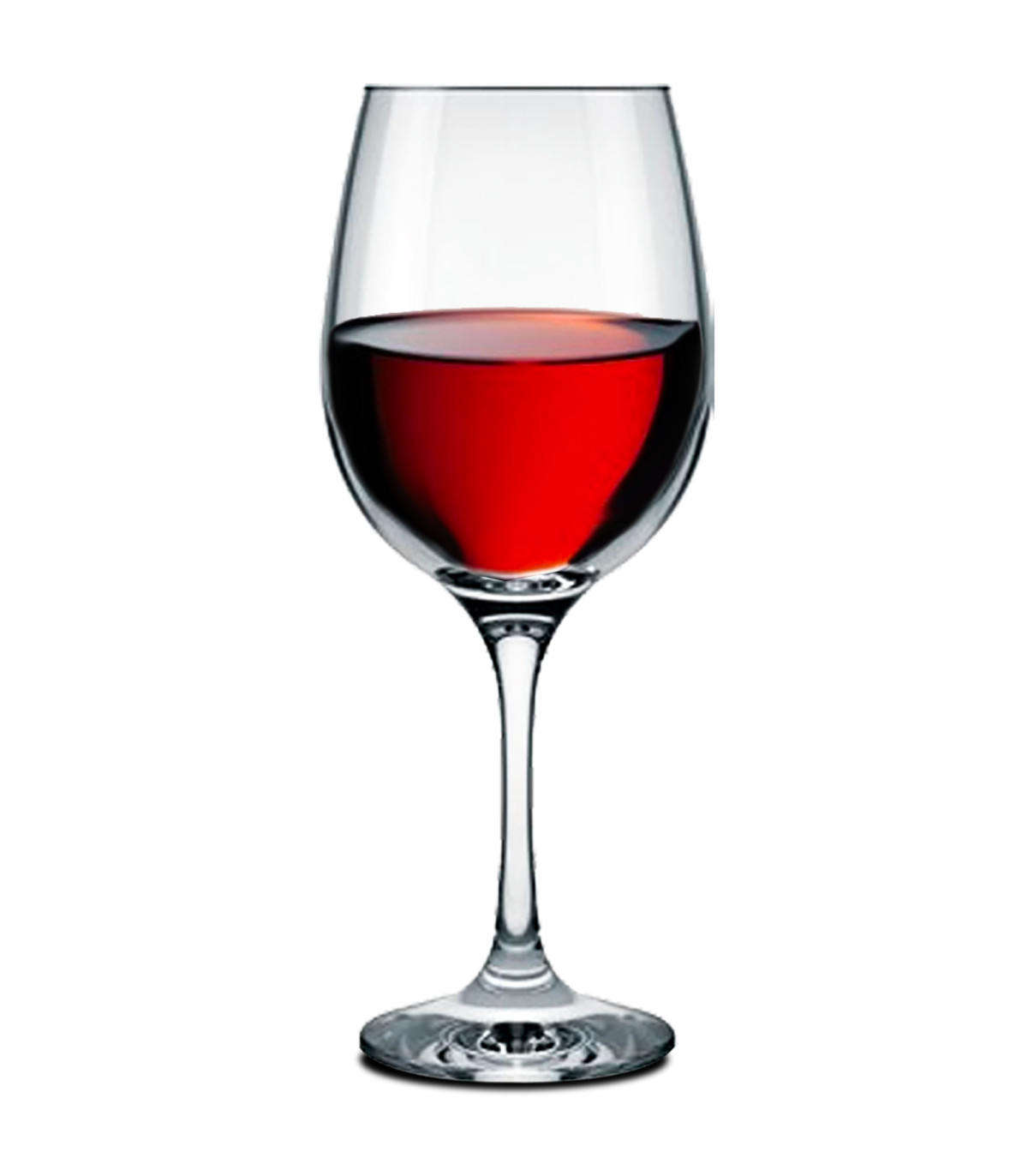 Wadiga Set De 6 Grands Verres à Vin 49cl