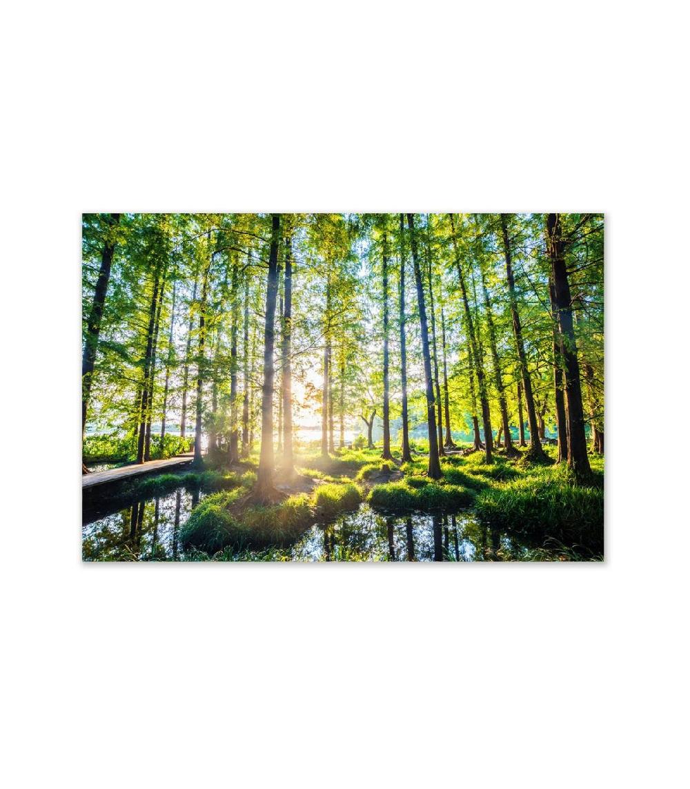 Wadiga Tableau Décoratif Photo Forêt - 100x80cm