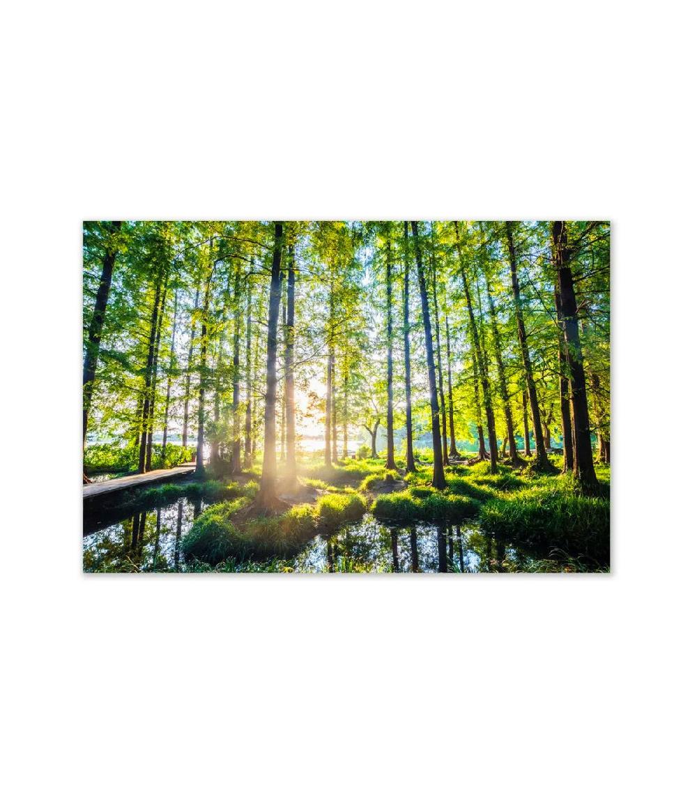 wadiga Tableau décoratif photo forêt - 100x80cm