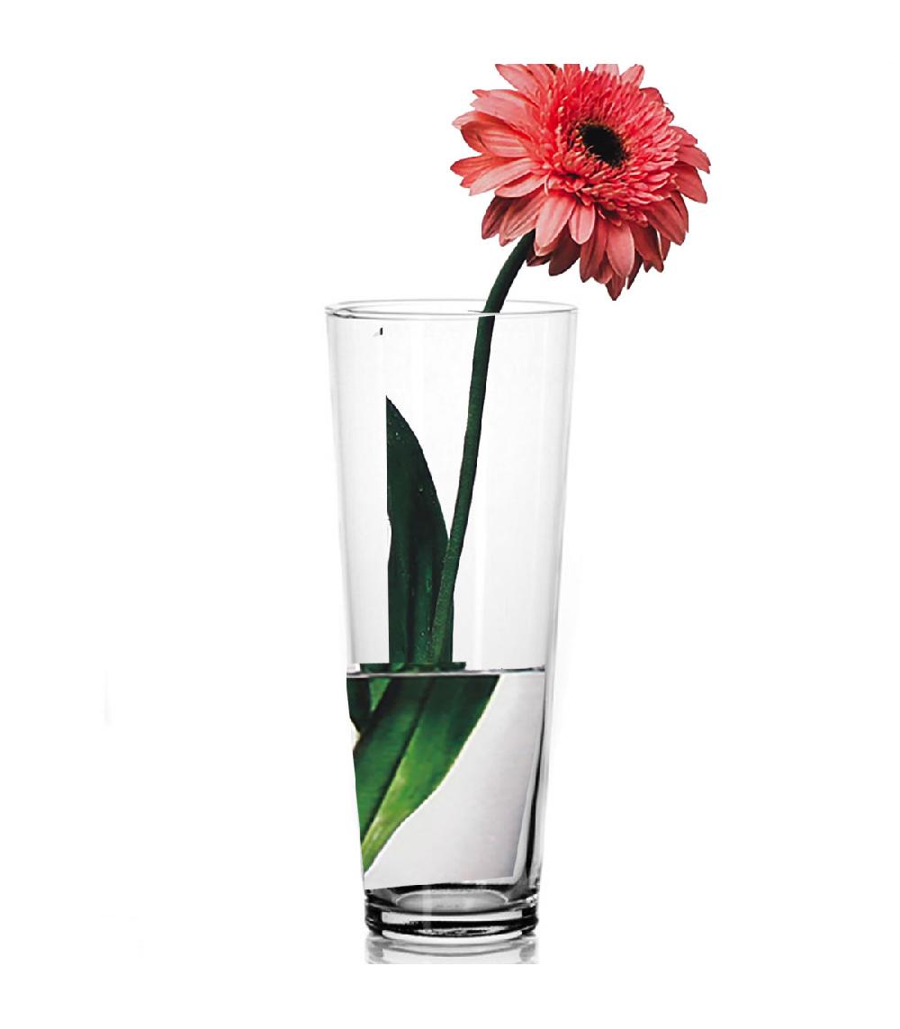 Wadiga Vase En Verre Transparent 10x10x26cm