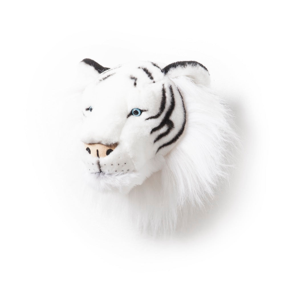 Wild & Soft Albert Le Tigre Blanc