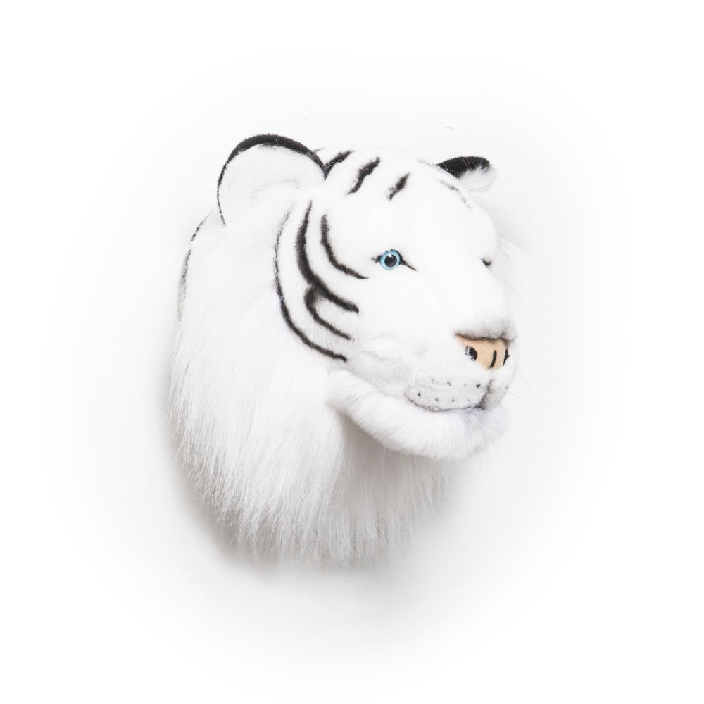 Wild & Soft Albert Le Tigre Blanc