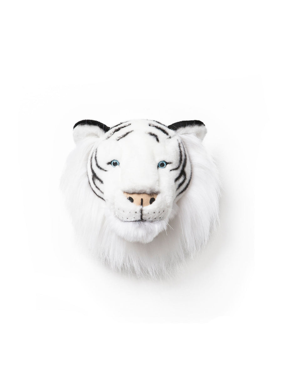 wild & soft Albert le tigre blanc