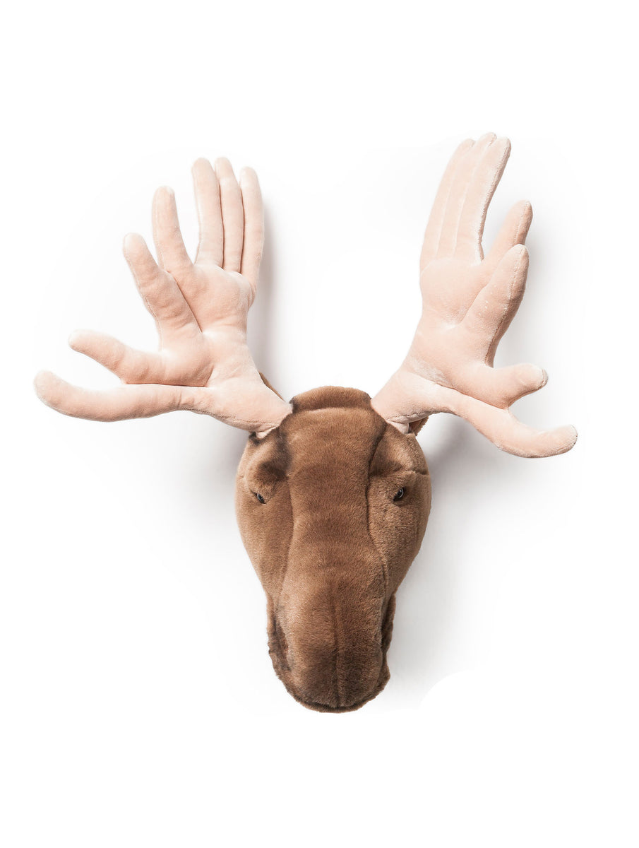 wild & soft Alfred l'élan