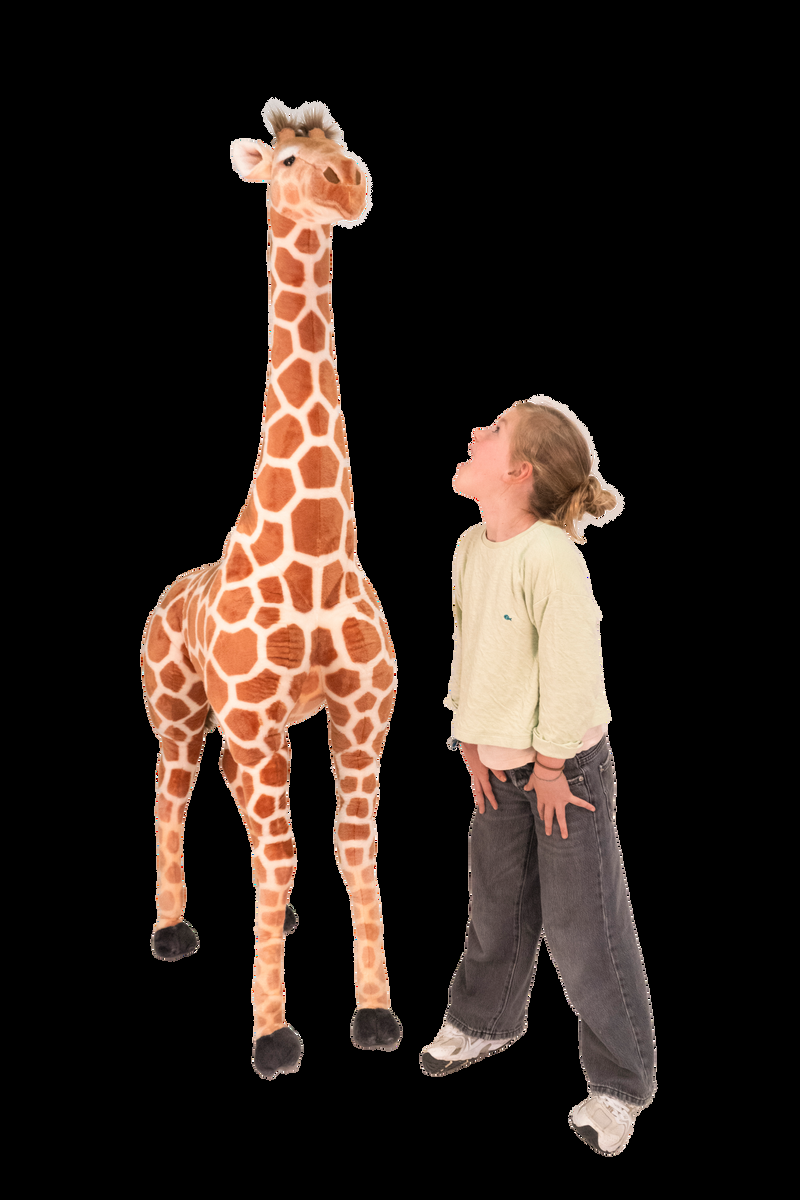 wild & soft Big & Soft