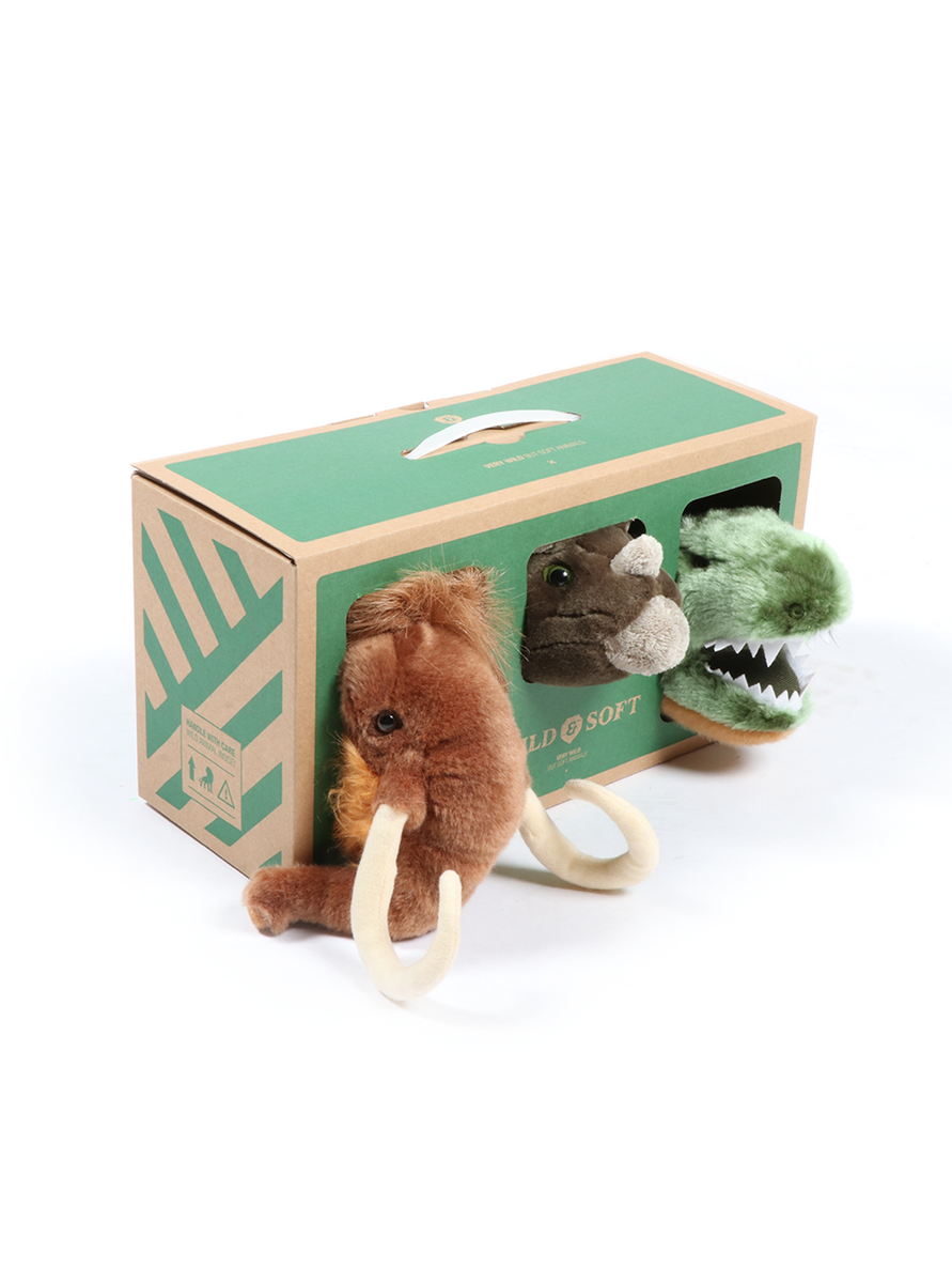 wild & soft Coffret Préhistorique