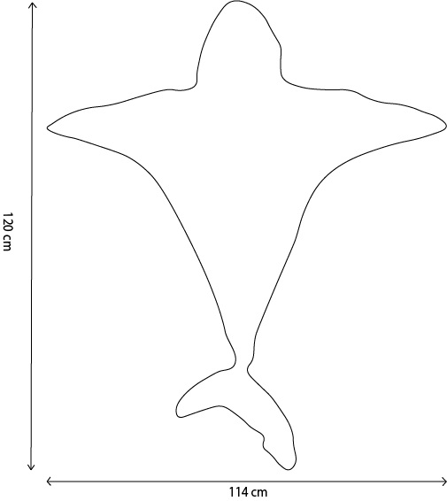 Wild & Soft Déguisement Requin