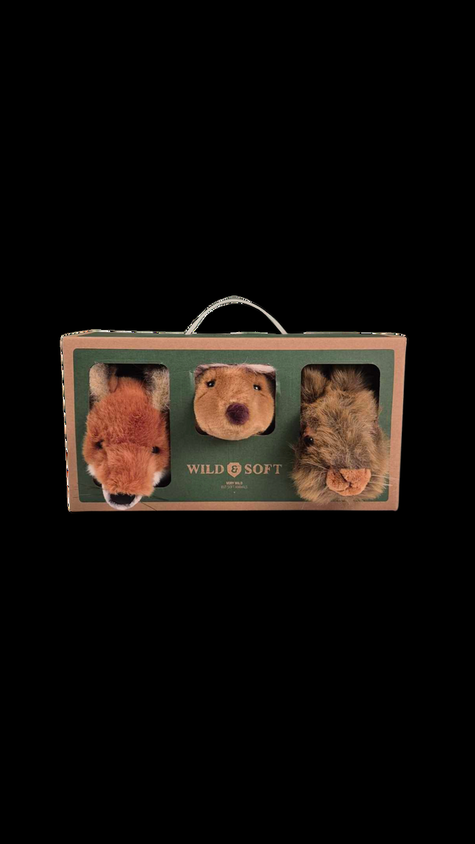 Wild & Soft Forest Box