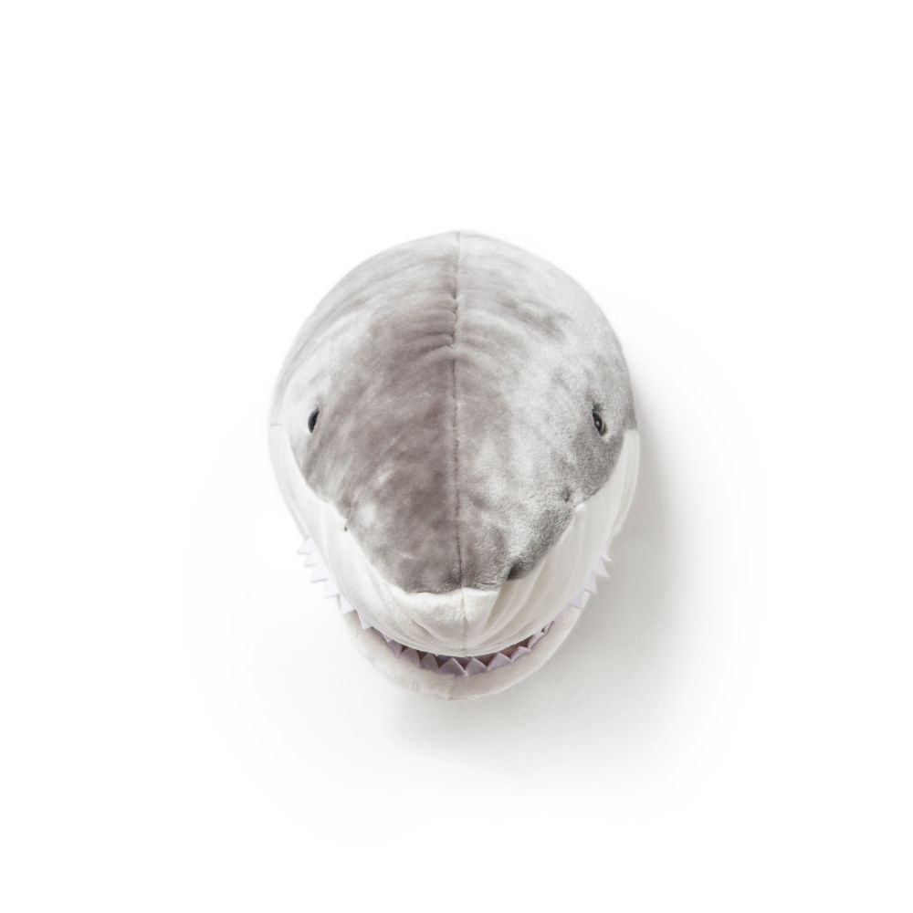 Wild & Soft Jack Le Requin