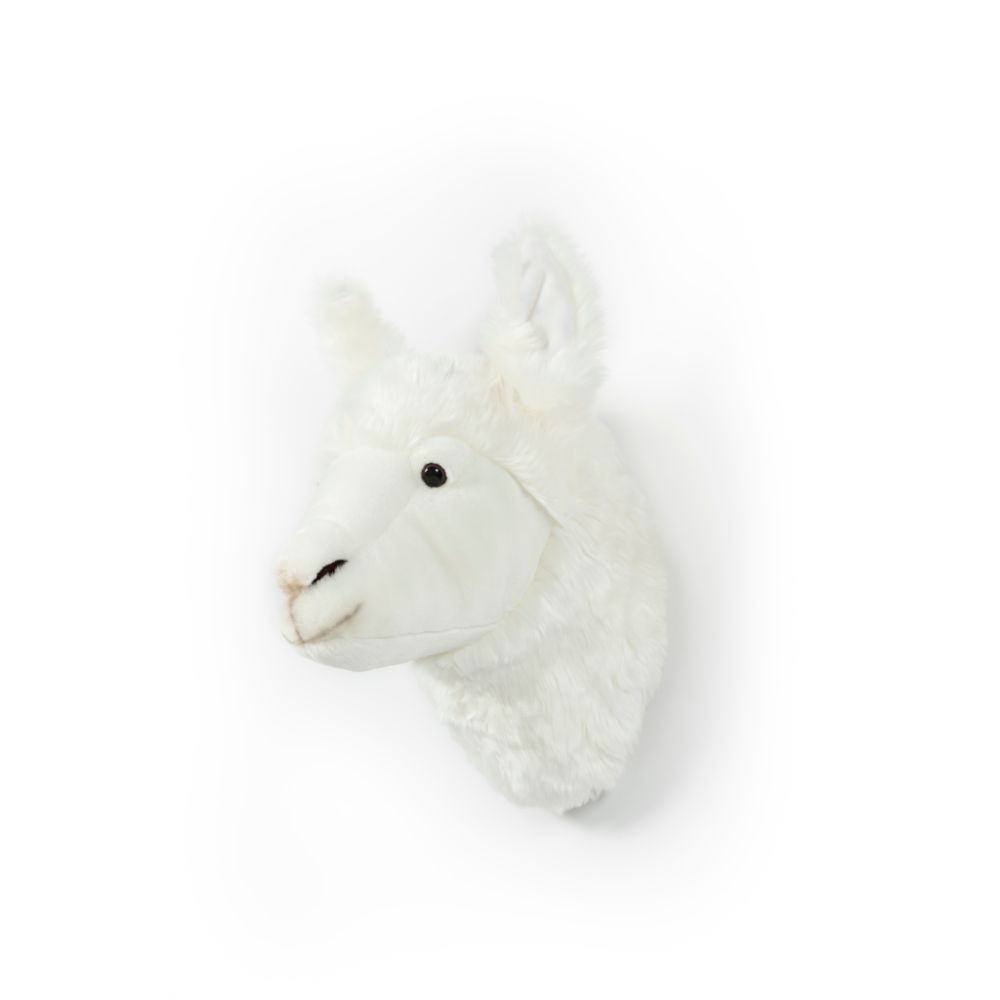 Wild & Soft Lily Le Lama