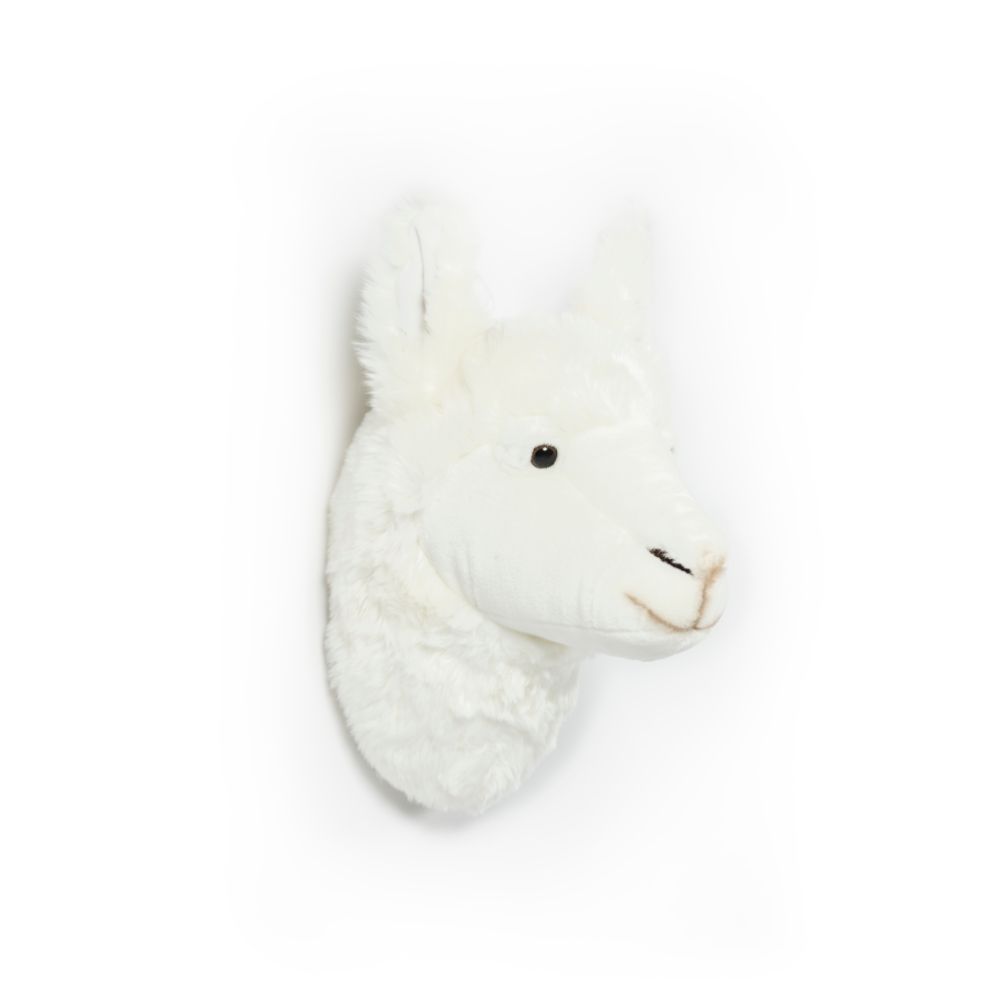 Wild & Soft Lily Le Lama