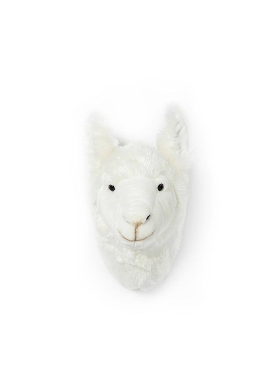 wild & soft Lily le lama