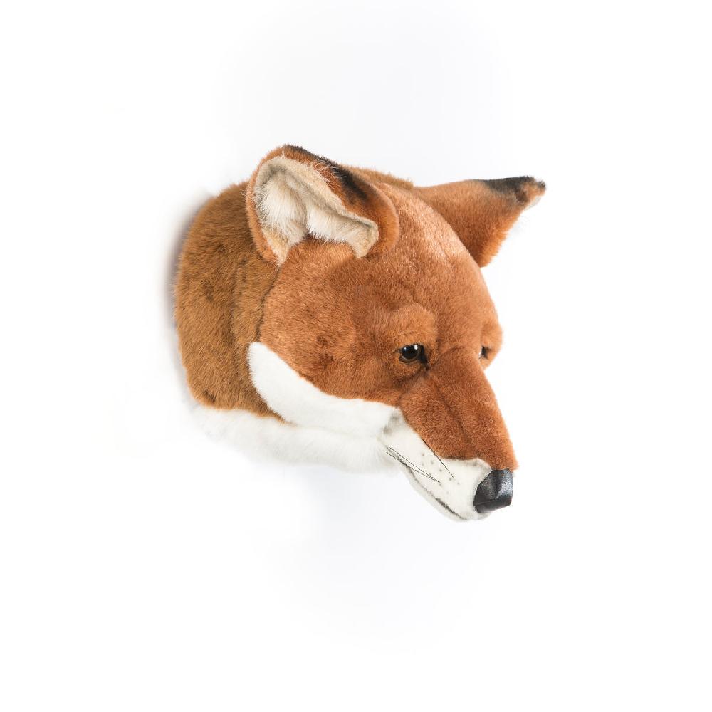 Wild & Soft Louis Le Renard