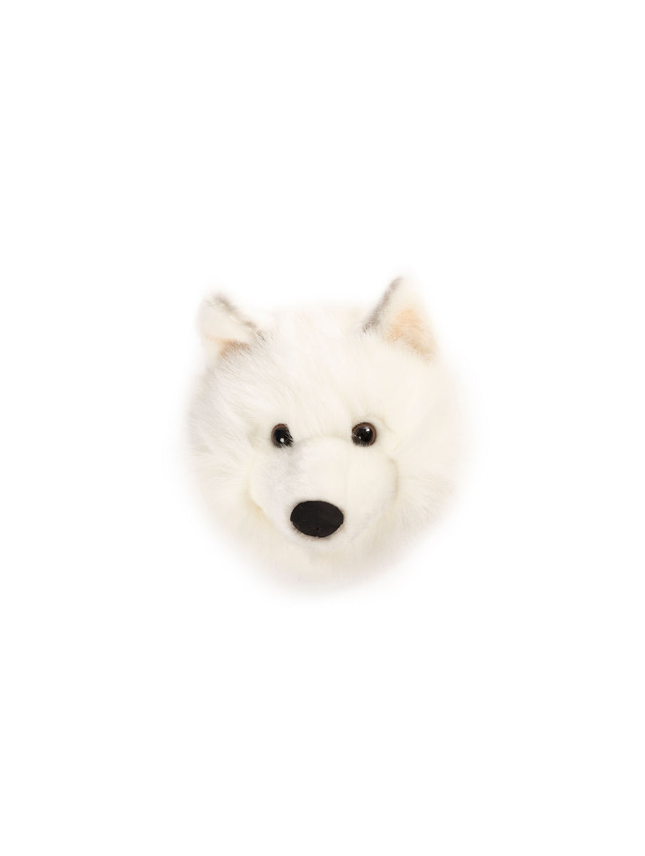 wild & soft Lucy le loup blanc