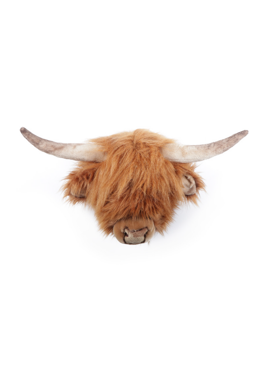 wild & soft Nicolas La vache Highland