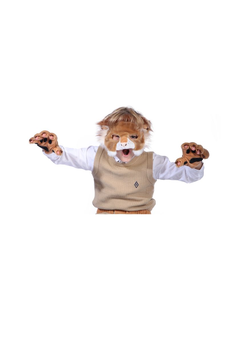 Wild & Soft Set D'habillage Lion