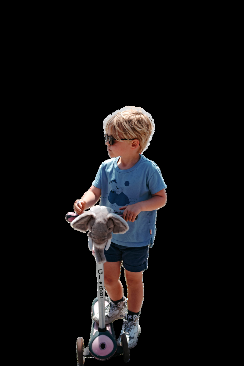 Wild & Soft Tête De Trottinette éléphant